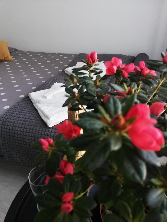 Marlen's Appartamento Bucarest